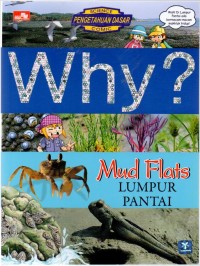 Why? Mud Flats